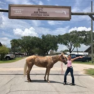 Meet your Posher, Mallory